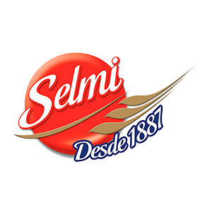 logo Selmi
